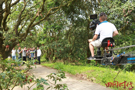 QQ截圖20180816145021.png QQ截圖20180816145021.png